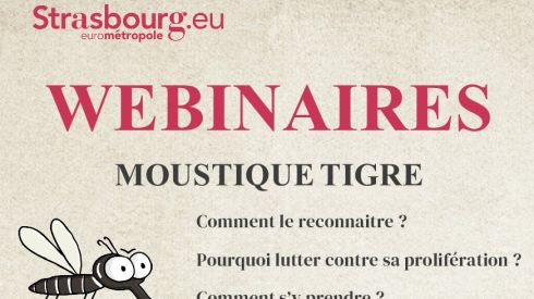 Sensibilisation à la lutte contre le moustique tigre